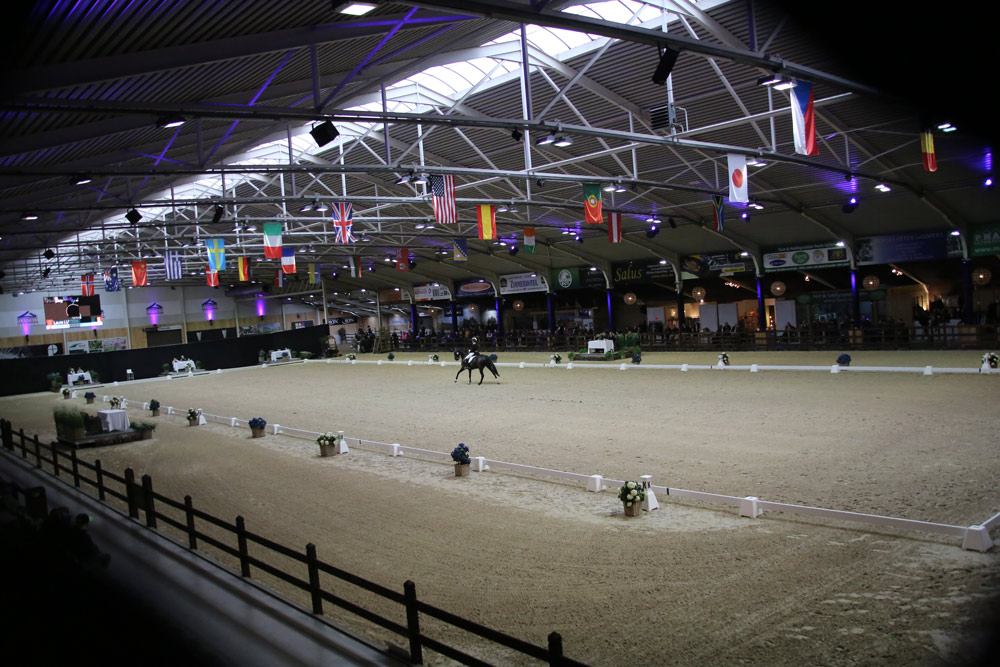CDI-Lier-Arena-1 Viersterren dressuur CDI Lier